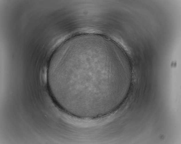 X0000097660014200803142142