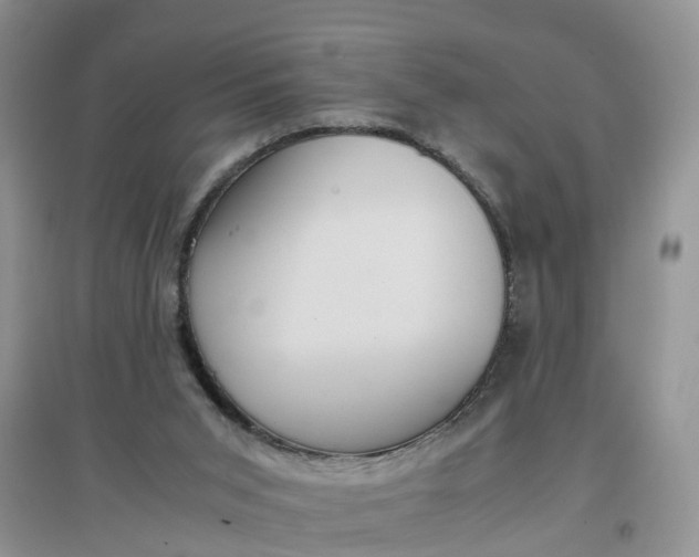 X0000097660015200803142142