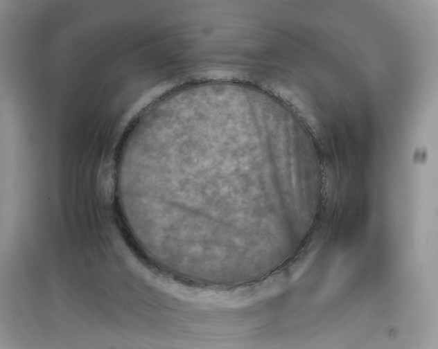 X0000097660016200803142142