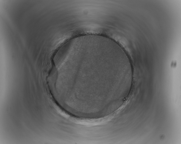 X0000097660017200803142142