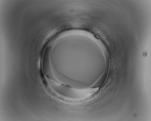 X0000097660019200803142142
