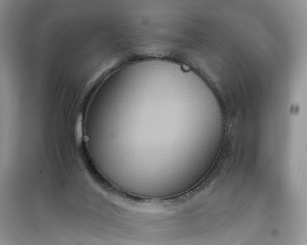 X0000097660020200803142142