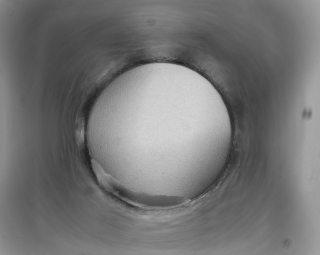 X0000097660021200803142142