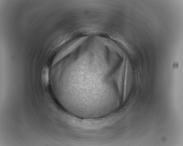 X0000097660022200803142142