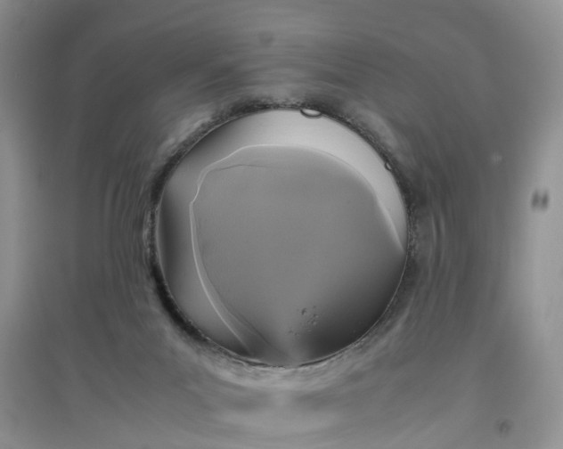 X0000097660023200803142142