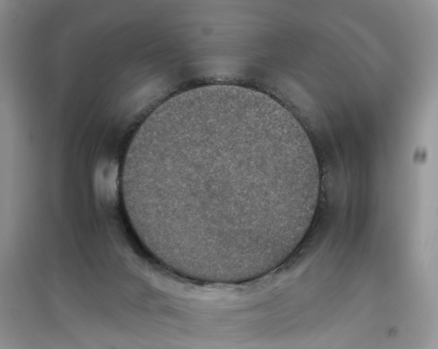 X0000097660024200803142142