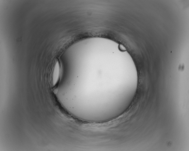 X0000097660025200803142142