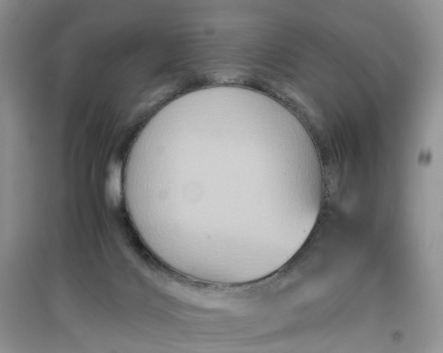 X0000097660028200803142142