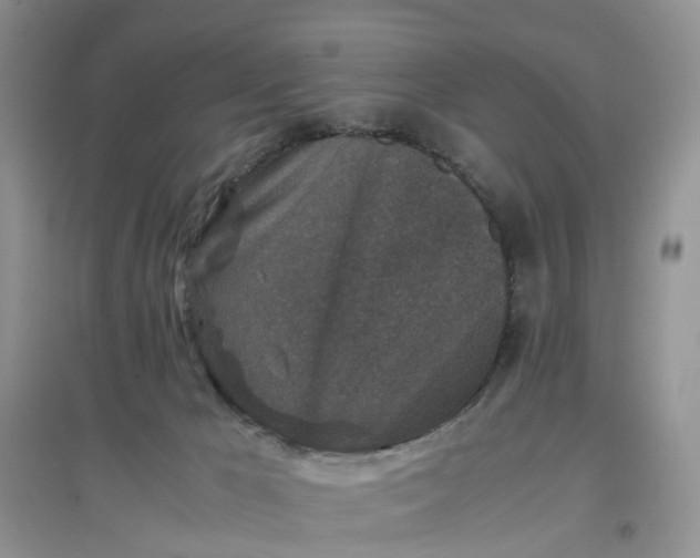 X0000097660029200803142142