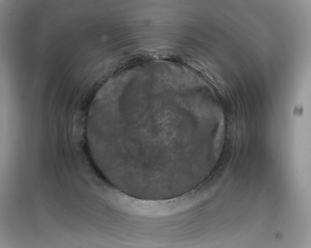 X0000097660030200803142142
