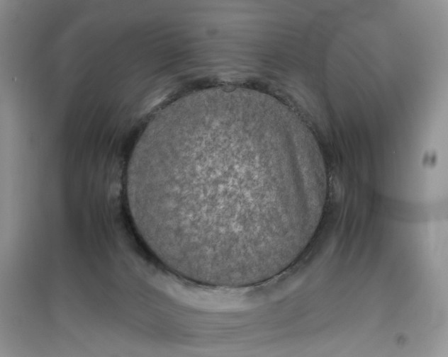 X0000097660032200803142142