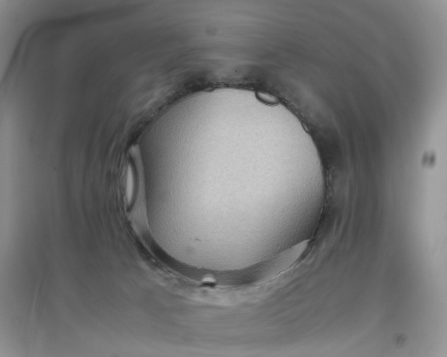 X0000097660033200803142142