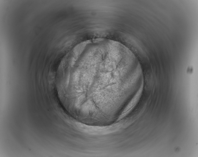 X0000097660034200803142142