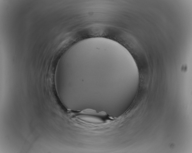 X0000097660035200803142142