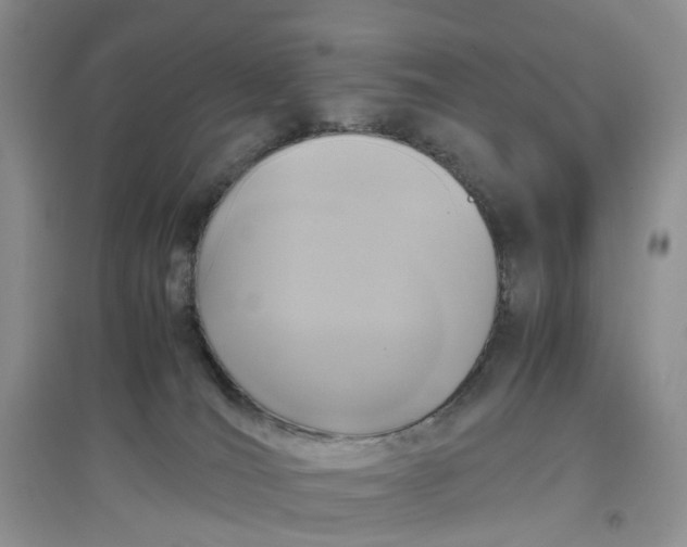 X0000097660036200803142142
