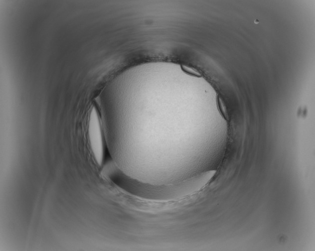 X0000097660037200803142142
