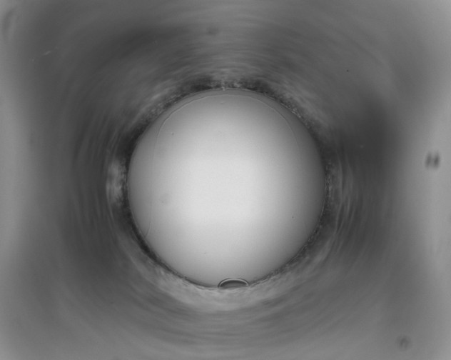 X0000097660038200803142142
