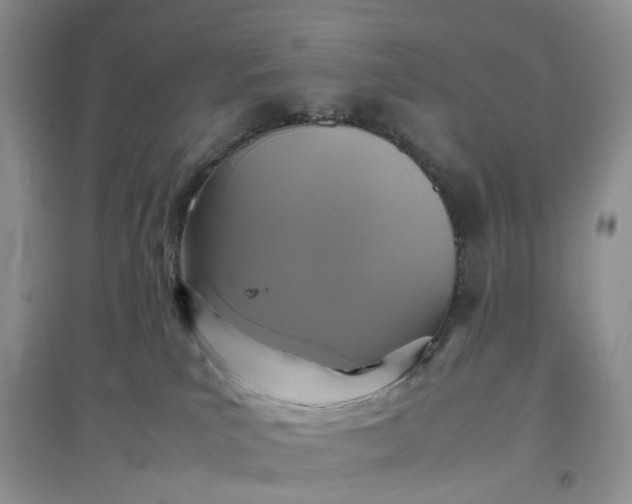 X0000097660039200803142142