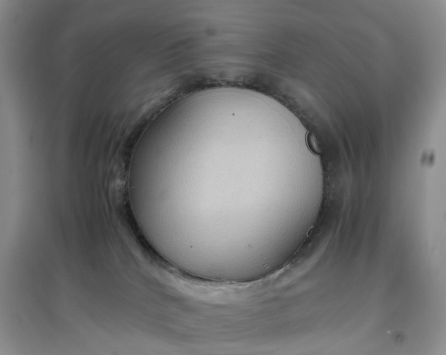 X0000097660040200803142142