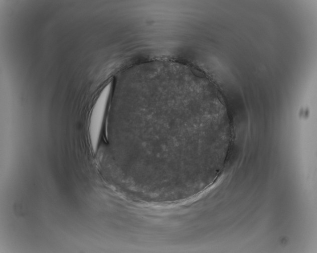 X0000097660041200803142142