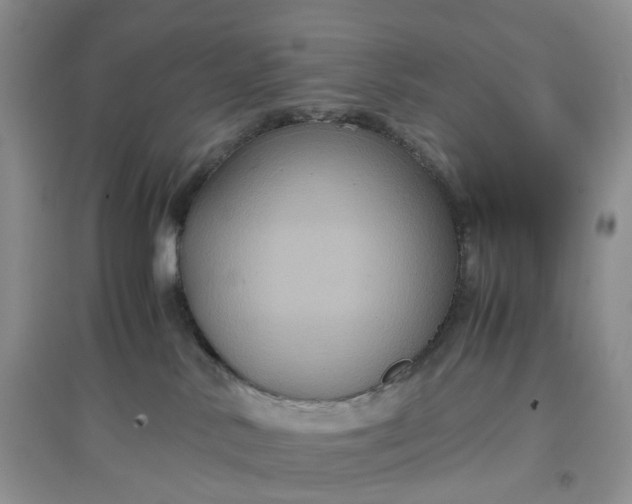 X0000097660042200803142142