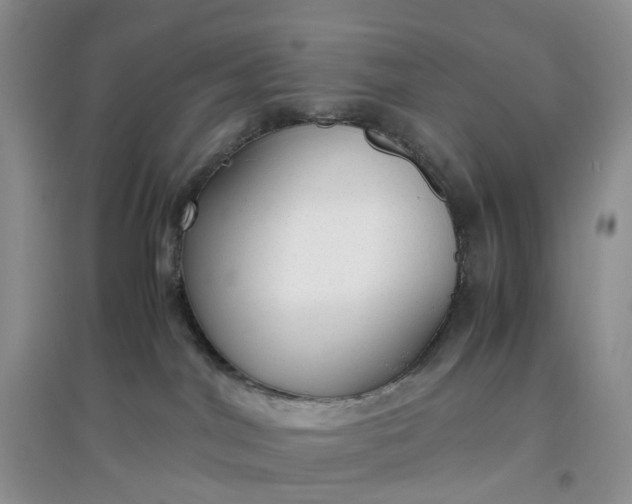 X0000097660044200803142142