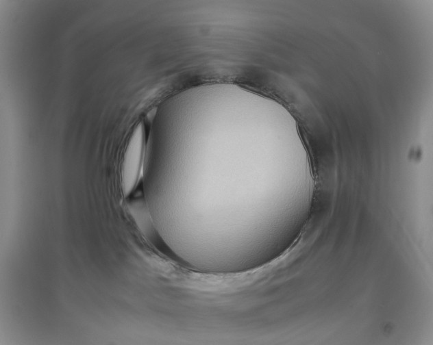 X0000097660045200803142142