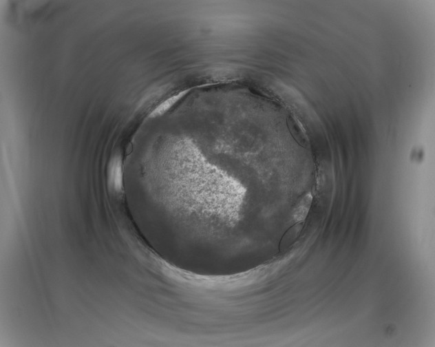 X0000097660046200803142142