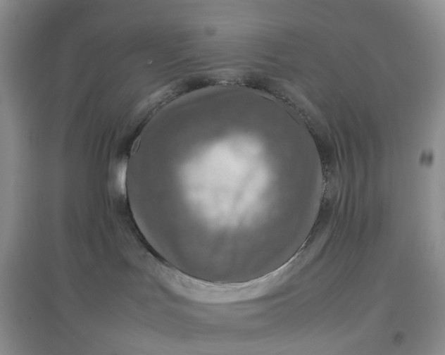X0000097660047200803142142