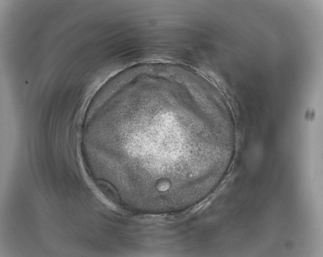 X0000097660049200803142141