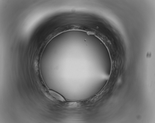 X0000097660050200803142141