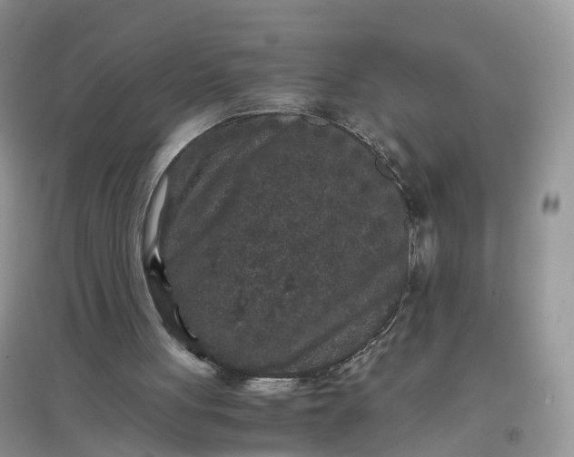X0000097660051200803142141