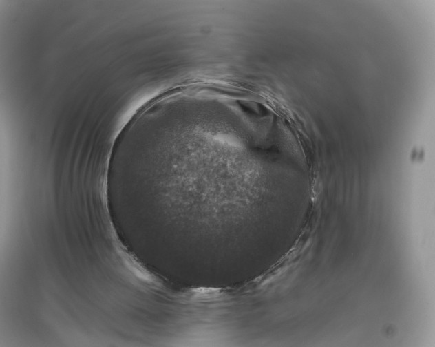 X0000097660052200803142141