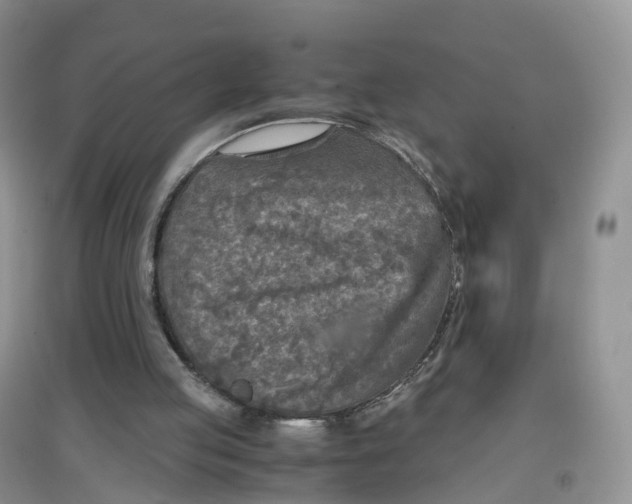 X0000097660053200803142141