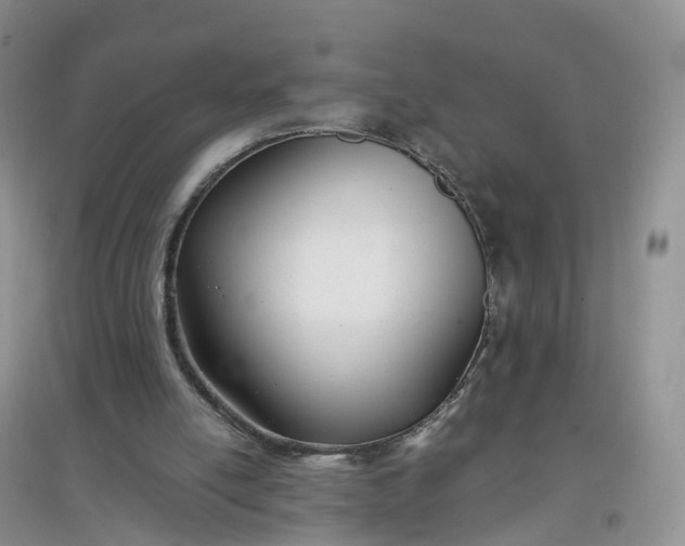 X0000097660054200803142141