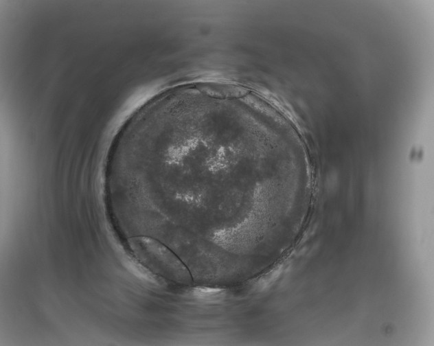 X0000097660055200803142141