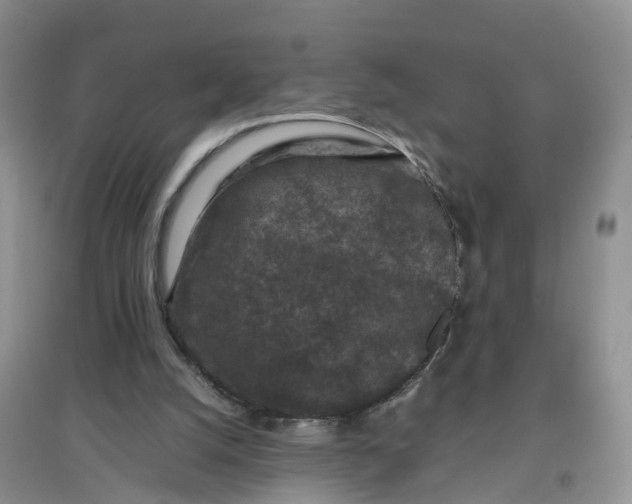 X0000097660056200803142141