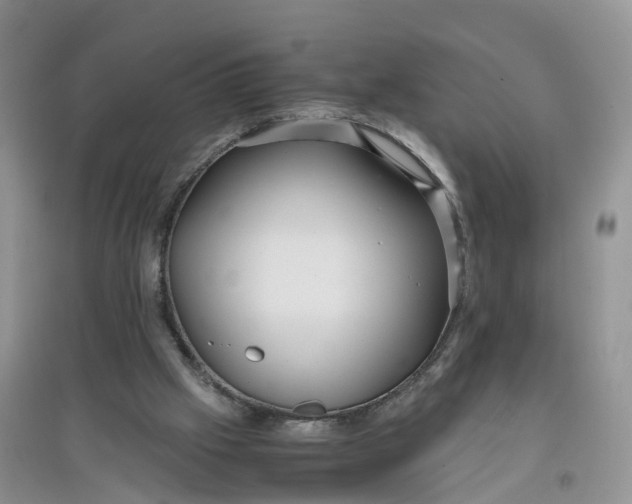X0000097660057200803142141