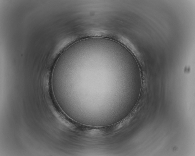 X0000097660058200803142141