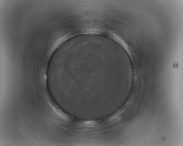 X0000097660059200803142141