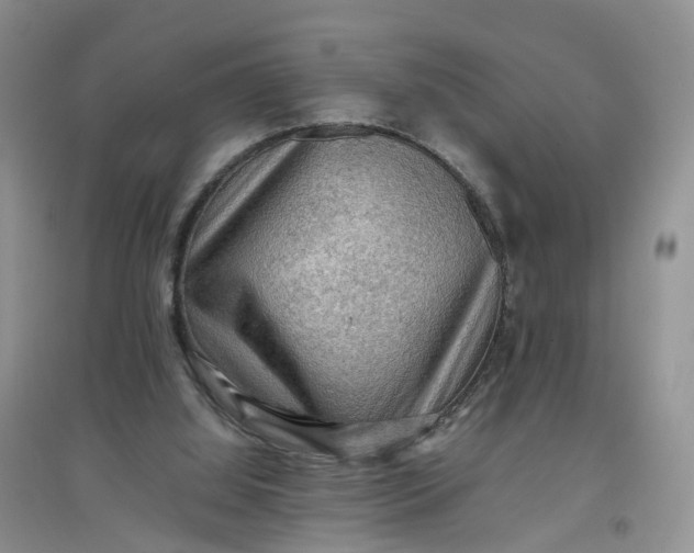 X0000097660060200803142141