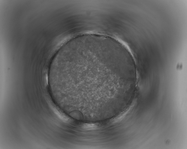 X0000097660061200803142141