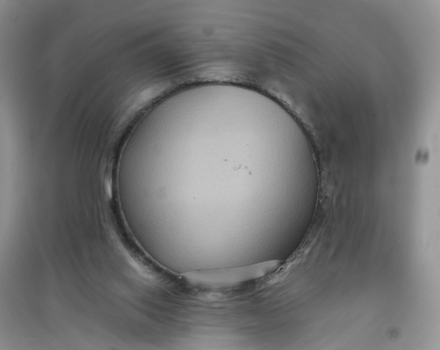 X0000097660062200803142141