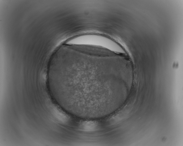 X0000097660063200803142141