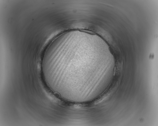 X0000097660064200803142141