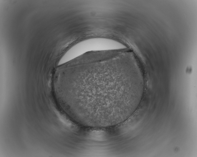 X0000097660066200803142141