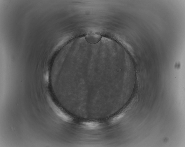 X0000097660067200803142141