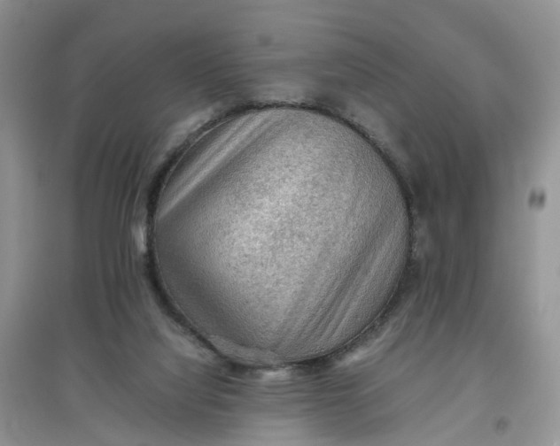 X0000097660068200803142141