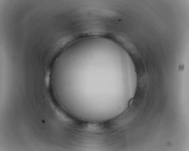 X0000097660070200803142142