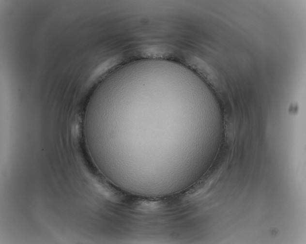 X0000097660071200803142142